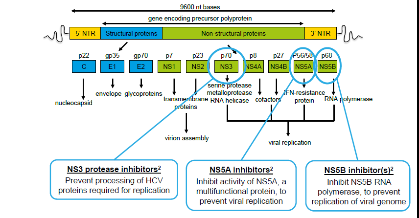 Νέες θεραπείες για τον HCV 1. Losikoff P et al.