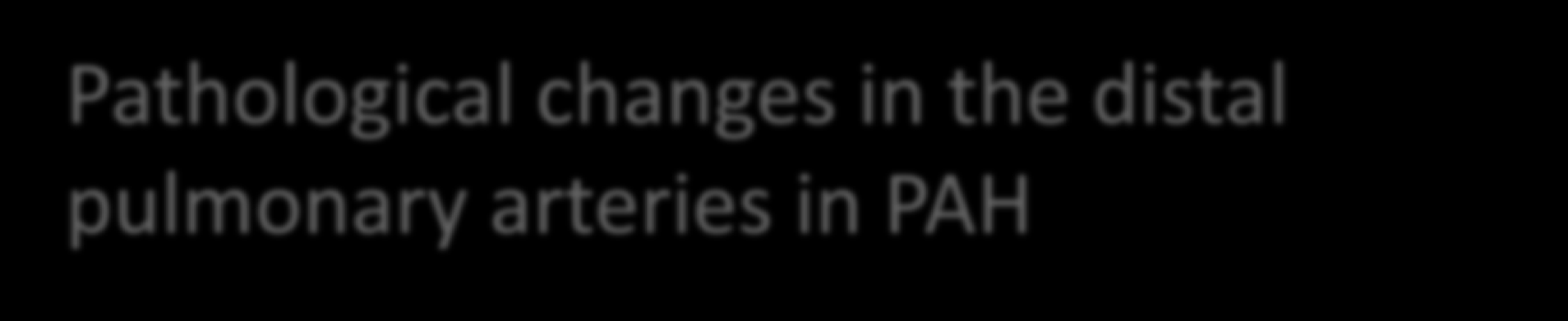 Pathological changes in the distal pulmonary arteries in PAH A. Normal B. PAH C.