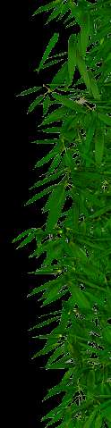 O Απμοιήημξ Λμύθημξ ζηό Herbarium vires et eurationes (123~170 μ.υ). Άνπςκ ηεξ Ρώμεξ.Πιαηςκηθόξ θηιόζμθμξ,ζμθηζηήξ,πμηεηήξ θαη νήημναξ.