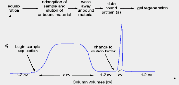 OMAΔΩN (YΠOΣTPΩMATΩN) Xρωματογραφία συγγένειας (affinity