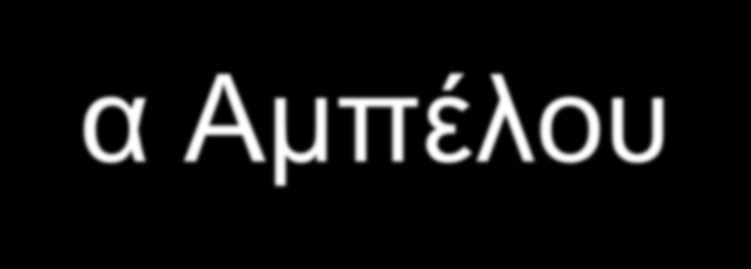 Vitis vinifera, Φύλλα Αμπέλου Ανεπιθύμητες δράσεις: Δερματική αλλεργία Γαστρεντερικές διαταραχές, έμετοι,