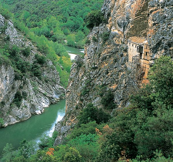 ΑΛΕΞΑΝ ΡΕΙΟ ΤΕΧΝΟΛΟΓΙΚΟ ΕΚΠΑΙ ΕΥΤΙΚΟ Ι ΡΥΜΑ ΘΕΣΣΑΛΟΝΙΚΗΣ ΣΧΟΛΗ ΤΕΧΝΟΛΟΓΙΑΣ ΓΕΩΠΟΝΙΑΣ ΤΜΗΜΑ ΦΥΤΙΚΗΣ ΠΑΡΑΓΩΓΗΣ Ο