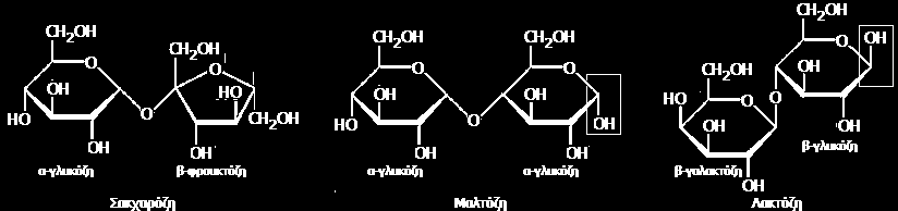 ΔΙΣΑΚΧΑΡΙΤΕΣ Οι δισακχαρίτες σχηματίζονται από δύο μόρια μονοσακχαριτών. Είναι μια σπουδαία κατηγορία συστατικών των τροφίμων. Οι πιο γνωστοί είναι η σακχαρόζη, η μαλτόζη και η λακτόζη.