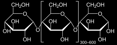 Μόριο αμυλόζης Η αμυλοπηκτίνη είναι υψηλά/πολύ διακλαδισμένο πολυμερές. Κάθε διακλάδωση έχει περίπου 15-25 μόρια γλυκόζης.