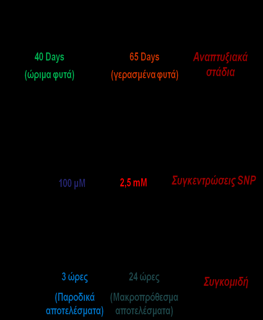 3.2.2 Απνηειέζκαηα ημ ηονίςξ πείναια ηδξ πανμφζαξ ενβαζίαξ εθανιυζηδηακ δομ δζαθμνεηζηέξ ζοβηεκηνχζεζξ SNP (100ιΜ ηαζ 2,5 mm) ζε θοηά ιδδζηήξ (Medicago truncatula Jemalong A17) δομ δζαθμνεηζηχκ