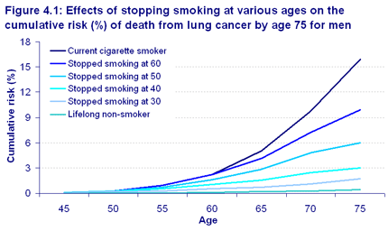 A lifelong male smoker has a cumulative risk of 15.9% for developing lung cancer by age 75.