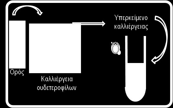 (microparticles) πξνεξρφκελσλ απφ θπηηαξηθέο κεκβξάλεο 113.