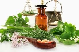 Τα βότανα Περίπου 24 φυτά και βότανα αποτελούν βάση για παραδοσιακές θεραπείες.
