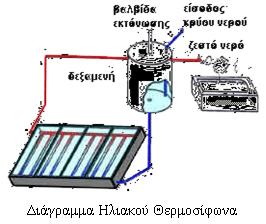 ε επαθή κε ηελ απνξξνθεηηθή επηθάλεηα ηνπνζεηνχληαη ιεπηνί ζσιήλεο κέζα ζηνπο νπνίνπο δηνρεηεχεηαη θάπνην πγξφ, πνπ απάγεη ηελ ζεξκφηεηα θαη ηε κεηαθέξεη, κε ηε βνήζεηα κηθξψλ αληιηψλ (θπθινθνξεηέο),