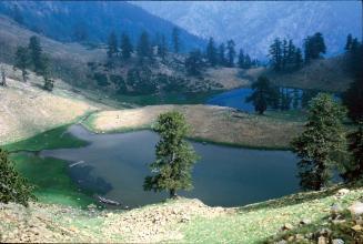 Protected Areas Greece Since 1937, Greece has started to identify natural areas of specific ecological importance (forests, wetlands etc.