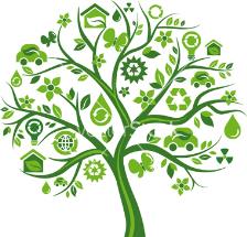 (π.χ. εγχώρια προϊόντα), την ύπαρξη πιστοποίησης (π.χ. οικολογική σήμανση), ή την εφαρμογή συστήματος περιβαλλοντικής διαχείρισης από τον προμηθευτή μας.