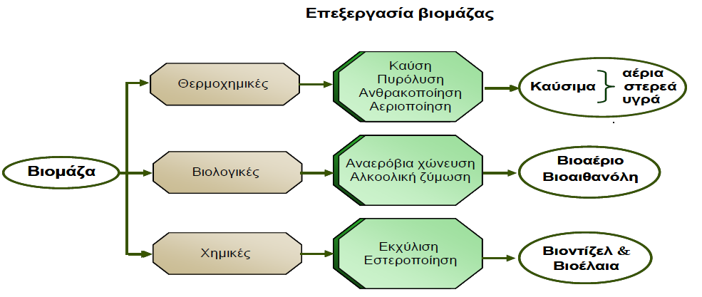 3.3 Καηεγνξίεο επεμεξγαζίαο βηνκάδαο Μόλν ιίγνη ηύπνη βηνκάδαο, όπσο ε μπιώδεο, κπνξνύλ λα ρξεζηκνπνηεζνύλ απεπζείαο κε θαύζε γηα παξαγσγή ελέξγεηαο.