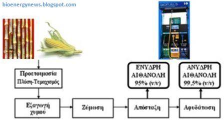 κε ην δαραξνθάιακν θαη ην ζόξγν πνπ ιακβάλεηαη απεπζείαο ν ζαθραξνύρνο ρπκόο ησλ βιαζηώλ, ζηα ζηηεξά (ζηηάξη, θξηζάξη, θαιακπόθη) απαηηείηαη πξνζζήθε αθξηβώλ ελδύκσλ (ακπιάζεο) γηα ηε δηάζπαζε