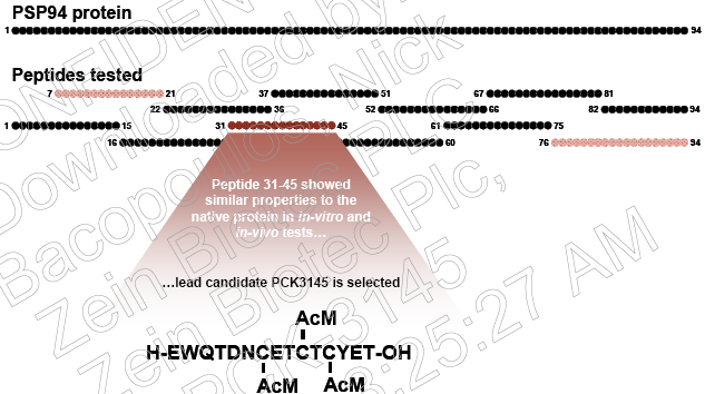 Γ. To ζπλζεηηθό πεπηίδην PCK3145 Η εηηεκήξ αζαθζμβναθζηή ακαζηυπδζδ ακαδεζηκφεζ υηζ απυ ηζξ 12 αιζκμλζηέξ αθθδθμοπίεξ ηδξ PSP94 πμο ιεθεηήεδηακ, δ αθθδθμοπία αιζκμλέςκ 31-45 ηδξ PSP-94 ειθάκζγε