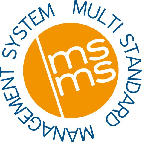 Multi-Standard Management System Όηαλ ζπιιάβακε ηελ ηδέα ηνπ MSMS βάιακε ηξεηο μεθάζαξνπο ζηόρνπο: Τελ απηνκαηνπνίεζε ησλ εηαηξηθώλ δηαδηθαζηώλ ώζηε λα ειαρηζηνπνηεζεί ν θόξηνο εξγαζίαο πνπ