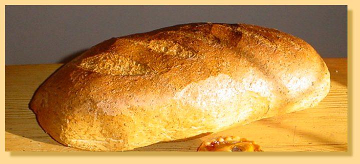 Ψωμί Είναι βαςικό είδοσ τροφίμου με ιδιαίτερθ κρεπτικι αξία κακϊσ περιζχει ςφνκετουσ υδρογονάνκρακεσ. Παραςκευάηεται από αλεφρι,νερό,μαγιά.