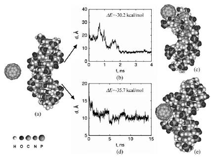 Size-related interactions Buckyballs