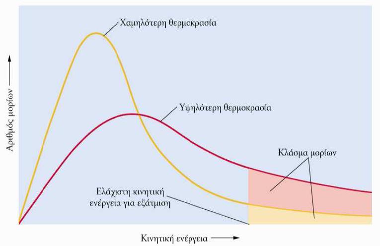 Κατανομή κινητικών