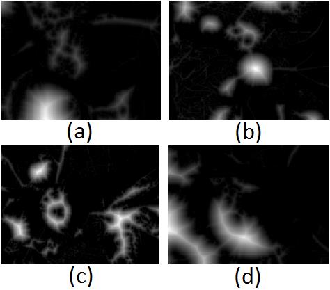 Κατάτμηση εικόνων με μετασχηματισμό απόστασης Στην Εικόνα 5 παρουσιάζονται τα αποτελέσματα κατάτμησης των αρχικών εικόνων με τη μέθοδο της ομαδοποίησης k-μέσων.