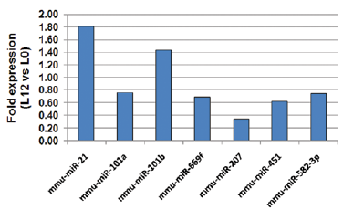 Η δηαθνξηθή έθθξαζε ησλ πξναλαθεξζέλησλ mmu-mirs, φπσο απηή πξνθχπηεη απφ ηελ qpcr, απεηθνλίδεηαη ζαλ ζρεηηθφ πνιιαπιάζην (relative fold change) ζην ζρήκα 7.7. ρήκα 7.