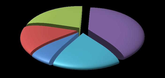 22,4% Καθόλου 38,8% Λίγο 26,5% Μέτρια 4,1% 8,2% Αρκετά Πολύ Σχήμα 5.