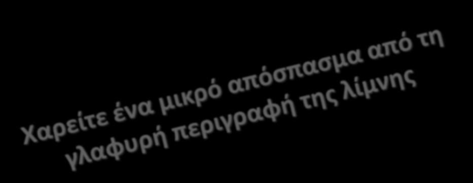 Λαπατιές χοντρόφυλλες, παχιές, με μεγάλα απλωτά σκληρά φύλλα, πλάγι σε ραγάζια που ψιθύριζαν στο κάθε αεράκι, δυο μέτρα και περισσότερο πάνω από τα νερά.