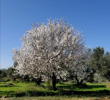 Αντίληψη είναι η διαδικασία μέσω της οποίας επιλέγουμε, προσλαμβάνουμε, οργανώνουμε και αναγνωρίζουμε τα ερεθίσματα του περιβάλλοντος ώστε να τα συνδέσουμε με νόημα και σημασία.