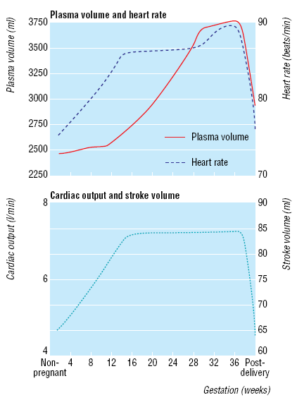 Hemodynamic changes during