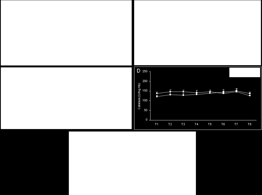 Γράφημα 32: Οι επιδράσεις της χορήγησης του πειραματικού και του εικονικού κέικ στις δραστικές ουσίες του θειοβαρβιτουρικού οξέος του πλάσματος (TBARS) (A), στα πρωτεϊνικά καρβονύλια του πλάσματος