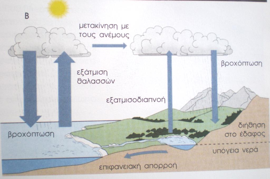 (γλυκά - αλμυρά) Φως (ποσότητα/ποιότητα) Θερμοκρασία