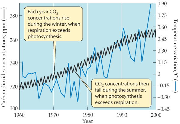 1. Άνθρακας + Φωτοσύνθεση (δέσμευση CO2) -