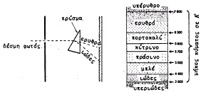 8. Από τα επτά πρωτεύοντα χρώματα που αναφέρθηκαν ανωτέρω υπολόγισε άλλα φασματικά μήκη κύματος.