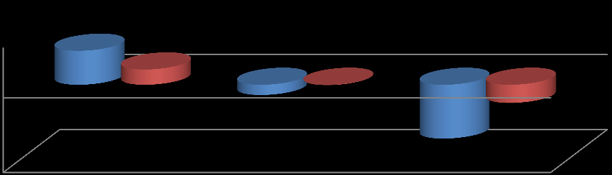 15,0% 10,0% 5,0% 0,0% -5,0% -10,0% -15,0% -20,0% Διαχρονική εξέλιξη δεικτών αποδοτικότητας του κλάδου της χαλυβουργίας 12,6% 5,4% 3,7% 1,6% 6,6% 3,2% 2006 2007 2008 2009 2010-6,7% -4,7% -18,2% -14,7%