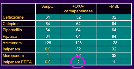 Acinetobacter baumannii/calcoaceticus D.