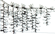 Η επιτάχυνση των κλαδιών του δένδρου μετρήθηκε με τη χρήση επιταχυνσιομέτρων MEMS (Micro-Electric Mechanical Systems), τύπου ADXL345 (Analog Devices, Norwood, MA).