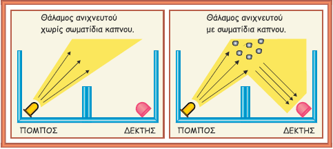 Ανιχνευτής ορατού καπνού Ονομάζεται αλλιώς φωτοηλεκτρικός ή οπτικοηλεκτρονικός ανιχνευτής καπνού. Χρησιμοποιεί έναν θάλαμο κατασκευασμένο από μαύρο αντιανακλαστικό υλικό.
