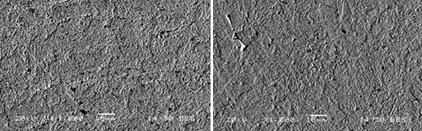 (β) Element Weight% Atomic% Si 0.42 0.82 Mn 0.52 0.53 Fe 99.06 98.65 Totals 100.00 Δηθόλα 6.