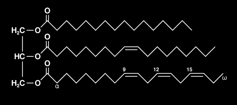 [36] 2.1.2 Τριγλυκεριδία (ΤG) Αποτελούνται από ένα μόριο γλυκερόλης συνδεμένο με τρία μόρια λιπαρών οξέων, συνήθως διαφορετικά, τα οποία μπορεί να είναι είτε κορεσμένα είτε ακόρεστα (εικ 8).