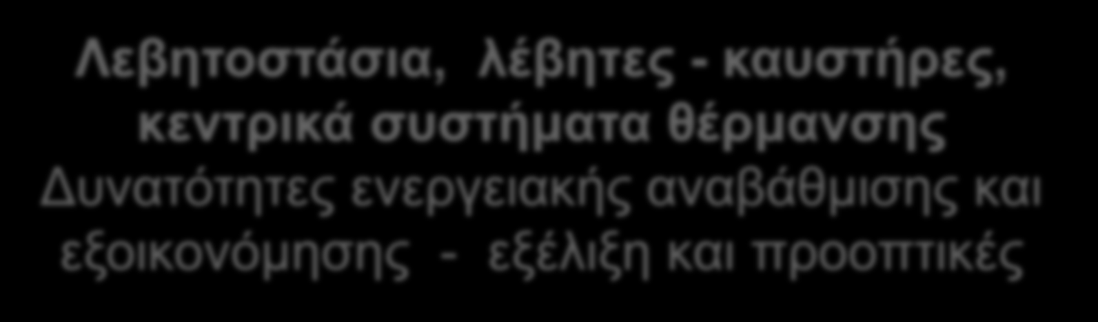 Ηκεξίδα ΣΔΔ Πεινπνλλήζνπ, 13 Ννεκβξίνπ 2013 Λεβεηνζηάζηα, ιέβεηεο - θαπζηήξεο, θεληξηθά ζπζηήκαηα ζέξκαλζεο Γπλαηόηεηεο