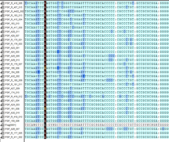 στις θέσεις 137793542-137793547, όπου απουσίαζε μία βάση C ή Τ. Εννιά βάσεις πιο μακριά, στη θέση 137793556 απουσιάζει μία βάση Τ και στη θέση 137793567 μία ακόμα βάση Τ.