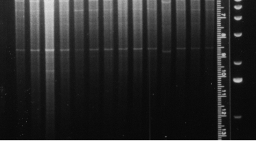 genomics