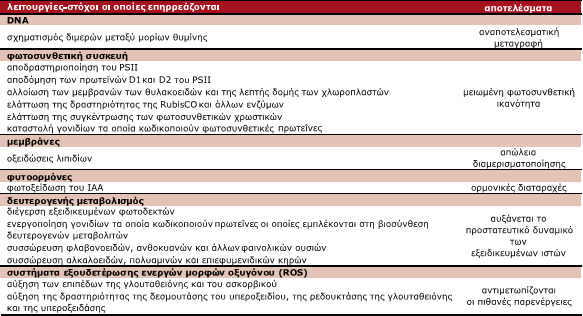 Αυξημένα επίπεδα UV-B ακτινοβολίας μπορεί να
