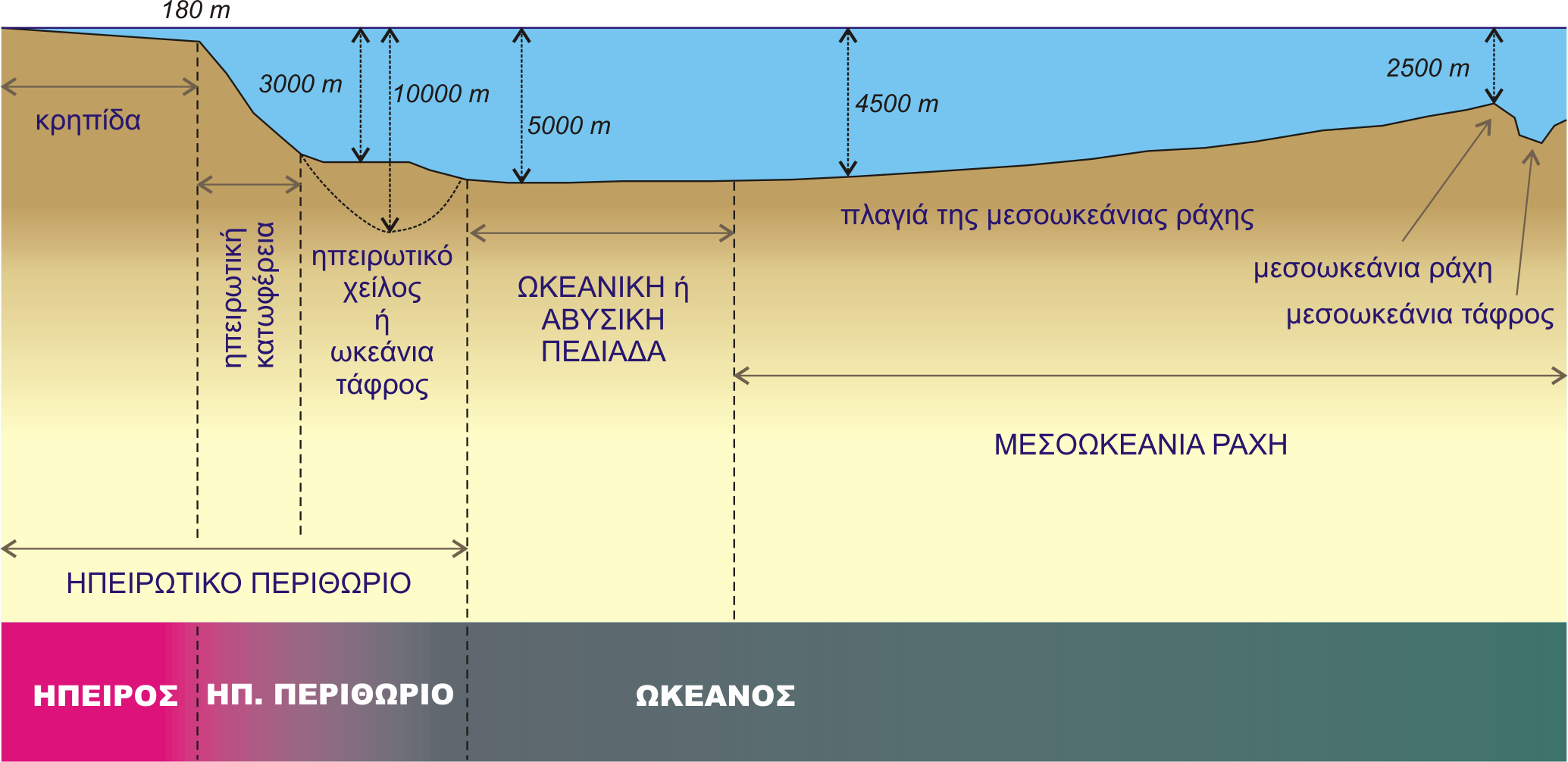 Η κρηπίδα. Και στους δύο τύπους των περιθωρίων είναι σχετικά πλατειά, 70-80 χιλιόµετρα κατά µέσο όρο και µερικές φορές πολλές εκατοντάδες χιλιόµετρα. Το βάθος είναι µικρό, από 0-130 ή 180 µέτρα (Εικ.