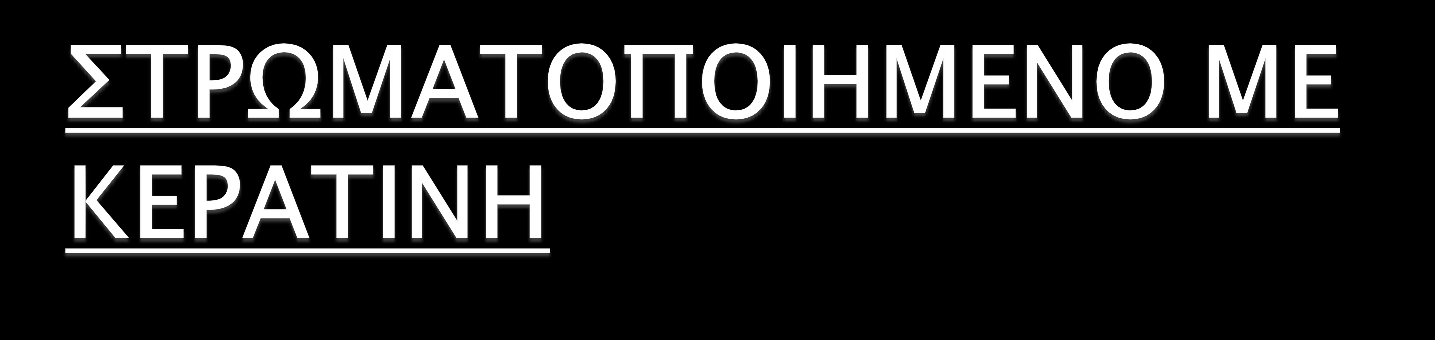 -σύνθετο επιθήλιο με κύτταρα στεγνής επιφάνειας -σχη