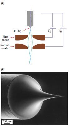 Κεφάλαιο 8 ο Σύγχρονο Η.Μ. Διέλευσης ΜΕΡΟΣ Β Field emission guns Σχήμα 8.6. Είδη νήματος καθόδου.