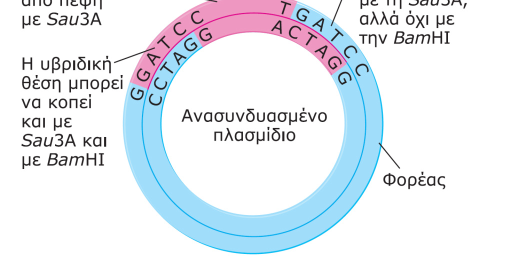 ΕΙΚΟΝΑ 16.