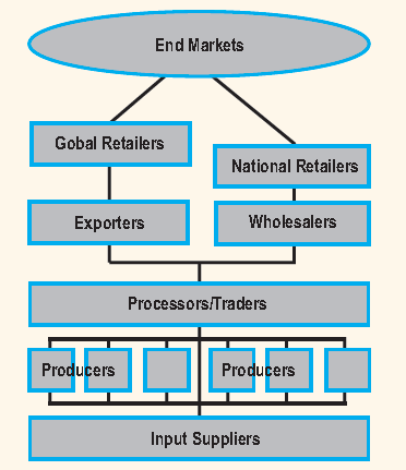 Εικόνα 4: Η διατροφική αλυσίδα αξίας (Πηγή: Saarelainen & Sievers, 2011) 5.