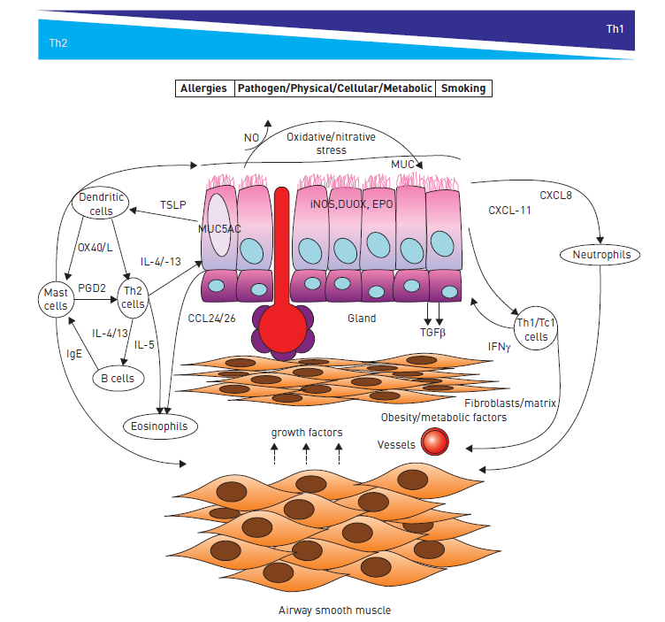 Inflammatory process