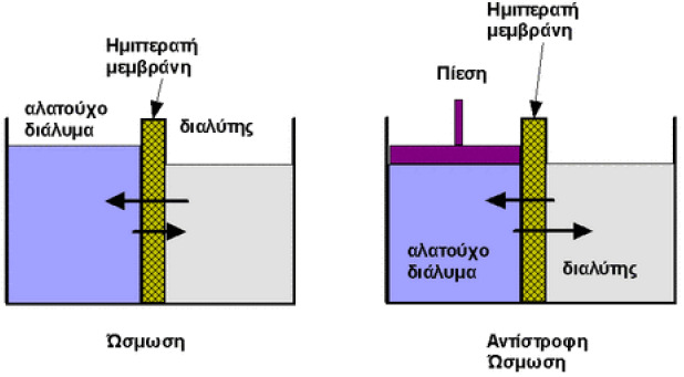 Σχήµα 4.