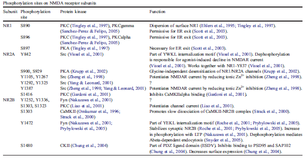 Πίνακας 4. Θέσεις φωσφορυλίωσης των υπομονάδων του NMDA υποδοχέα (Από Lee, 2006). 3.